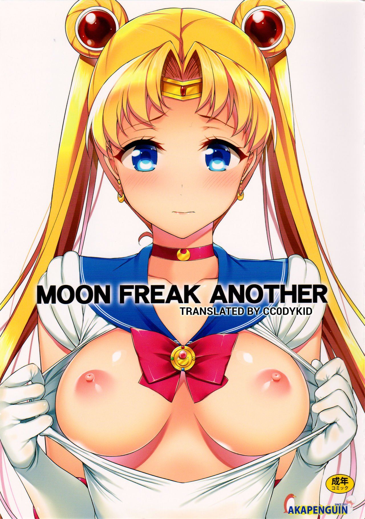 Hentaihome-Sailor-Moon-Primeira-vez-com-pau-grande-1 