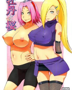 Ino e Sakura Taradas